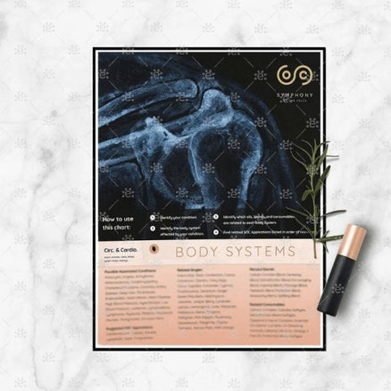 Body System Chart - Symphony of the Cells  JĘZYK ANGIELSKI