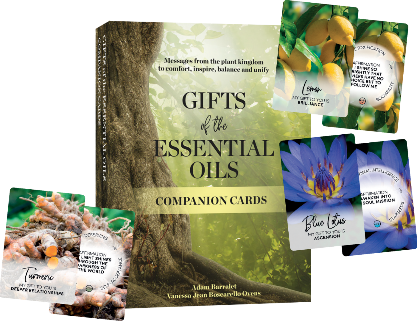 Gifts of the Essential Oils talia kart w j.angielskim